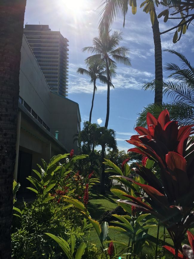 今週のハワイはお天気も良く本当にラッキー！！<br />ハワイ滞在中に旅行記を書いています。日本に帰ったからだと忘れてしまう事も多々あり（笑）<br />宜しけれおつき合いくださいませ。<br />4日目からの滞在記です。<br /><br />