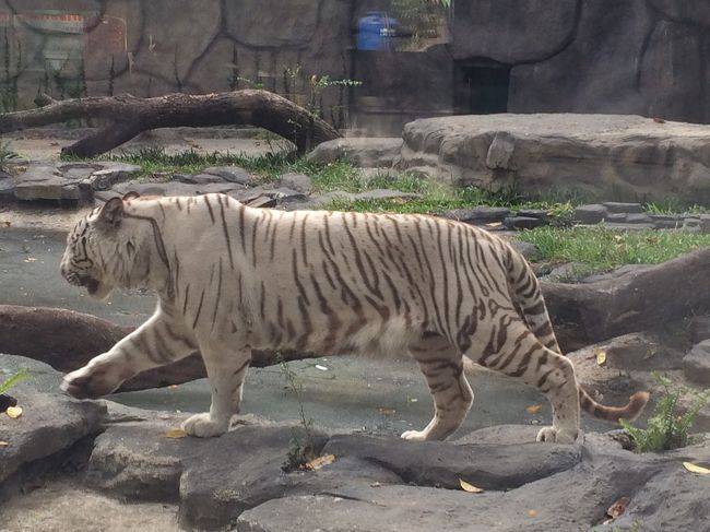 ベトナム・ホーチミンを満喫中