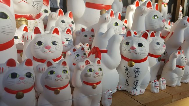 2017年3月10日<br /><br />なんかわからないけど、タイミングが合わなくて、2月、3月は旅行に行けません。なので、近場で行ってみたくて、行けてないところに行ってみることにしました。<br /><br />金曜日の14時に会社を退社して小田急線で「豪徳寺」へ。あんなにたくさんの招き猫を見たのは生まれて初めてだと思います。<br /><br />ちょっと怖いくらいでした。<br /><br />
