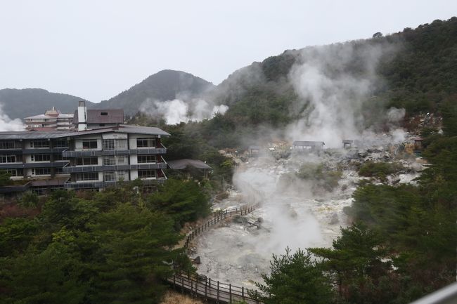 生憎天候が心配されたが、予定通りに出発。長崎空港で、予約しておいたレンタカーで、まず一般道を通り、島原城へ向かう。高速道路を通ると、その土地の状況がよくわからないので、視察を兼ねのんびりと走った。前を走っている車は、軽自動車が多い。途中から小雨模様となった。2時間ほどで、島原城の中にある駐車場へ到着。5階建ての正方形に近い天守閣である。1618年に築城され、明治維新までつづいたが、廃城となり解体された。地元の要望で、1964年には、天守閣が復元され今日に至っている。天守閣の中には、1階にキリシタン史料、2階には郷土資料、3階には民俗資料と、それなりに情報がわかるようになっていた。特にキリシタンに関しては、その当時の苦労がよく示されていた。あどけない天草四郎の像などが展示され、キリシタン弾圧をしのばせるものがあった。それにしても、遠路はるばる日本に来て布教活動をしていたとは、すごいエネルギーである。<br />丁度昼頃となったので、昼食と思って、車を走らせたが、それらしきお店がないので、カーナビで、あと25㎞で雲仙温泉（国道57号線）と出ていたので、我慢をした。山の方には、普賢岳などが見え隠れしていた。道路はかなり整備されていたが、かなりうねりくねった車道となっていた。箱根ほど続くことなく、雲仙温泉に入る。雲仙地獄の湯けむりが多々見えてきた。温泉街といっても、数件のホテル、旅館がある程度である。レストランもそれほど多くないので、ガイドブックに載っていた「グリーンテラス雲仙」に入る。この一帯は、再整備されたようで、新しい建物であった。おすすめはと聞いたところビーフシチューが、よく出ていますとのことで、お腹もすいていたので、迷わず注文。久しぶりにおいしいビーフシチューに巡り合った。窓の外を見ると、本日の宿の雲仙宮崎旅館の建物が見えた。<br />旅館にチェックインをして、すぐに地獄めぐりを行った。1時間弱で回れますというので、傘を借り、整備された遊歩道路と、説明看板を見ながら、硫黄のにおいがする蒸気を吸った。やはりこれが、温泉という感じである。入り口のボックスに、雲仙地獄散策セルフガイドブックがあり、100円をポストに入れ、これを頼りに見学。雲仙は、1934年に国立公園として最初に制定された。また古くは、700年代に開山したといわれている。まさに修行の場所でもあった。キリシタン殉教の場所として碑も建てられている。それが地獄という名前のもとにもなったのではなかろうか。お湯は、今でも滾々と湧き出ており、70～95℃の高温であり、これがホテル、旅館それぞれに引かれている。近場の源泉であることから、引いたとしても、温度がそれほど下がることがないので、最終的には水でうめ、42,3℃となっている。<br />地獄めぐりの後は、早速温泉である。大きな内風呂と、露天風呂があり、白濁しており、ふちには、湯の花成分が沈着している。かき混ぜると、それらが溶けてさらに温泉の効用が増す感じがした。日本人は、温泉とは切っても切れない関係がある。久しぶりにゆったりとつかり、疲れをいやした。<br />普段はホテルを利用するが、今回は雲仙温泉ということで、旅館を選んだ。天皇陛下をはじめ、皇室の方も宿泊されており、古き良き時代の旅館での風情があった。食事も部屋食でのんびり楽しむことができた。きめの細かいサービスであり、まさにおもてなしの心が残っていたので、嬉しかった。庭園にも、地獄があり、ここで1時間かけて、温泉玉子を作っていた。朝食の時にも、この温泉玉子をつけてもらい、硫黄のにおいのある玉子を頂いた。<br />部屋の窓からは、雲仙地獄の全容が見下ろすことができ、湯けむりが、常に出ていた。700年以来、滾々と温泉が絶えもせず湧き出ているのは、素晴らしいことである。温泉には、夕食後、起床すぐと合計3回も入り、温泉成分をたっぷり体にしみこませた。