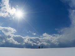 まだまだ冬旅続行中　☆冬の美瑛を行く☆