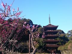 山口の梅☆防府天満宮と瑠璃光寺