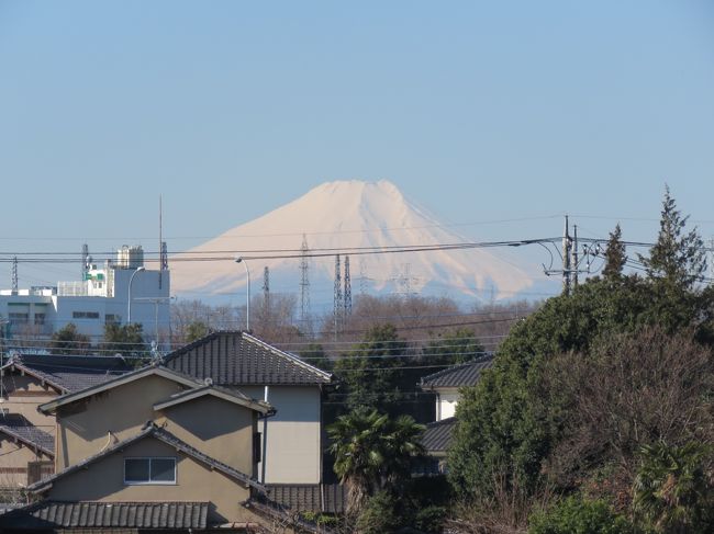 3月9日、午前8時50分頃にふじみ野市より美しい富士山が見られた。<br /><br /><br /><br />*写真は午前8時50分頃に見られた富士山