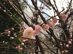 大人散歩　日銀本店見学・福徳神社で当選祈願