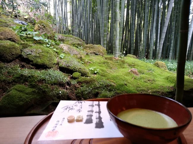 鎌倉の報国寺から北鎌倉の明月院,建上寺を<br />中心に散策。