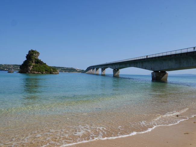 エメラルドグリーンな海と真っ青な空★向日葵も秋桜も！【沖縄3日目：前半】