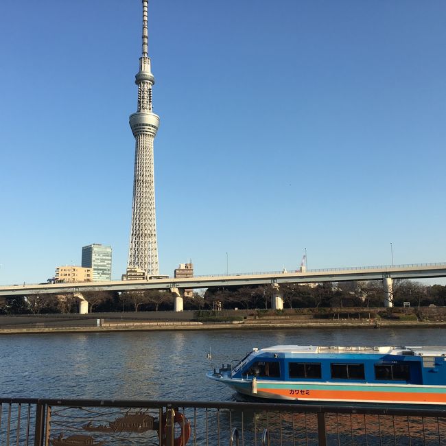 子供たちと母と一緒に両国・浅草散歩。久しぶりの江戸東京博物館へ。自分たちの住む東京の歴史を感じたら、水上バスで橋を楽しみながら浅草へ。公園で遊びながらの約6時間の両国・浅草散歩、よかったです♪