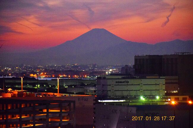 5年振りに車のバッテリー交換をして充電に出掛けた東扇島のPart2は夜景編です。<br />川崎マリエンや東扇島東公園からの夜景をおさめました。<br /><br />日本夜景遺産の川崎マリエンと東扇島散策　～Part1　快晴の昼眺望編～<br />http://4travel.jp/travelogue/11222790