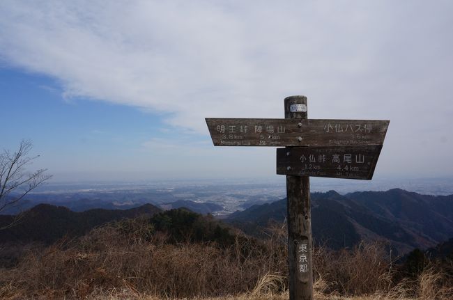 久しぶりの山歩き。<br />この時期なので、高い山はまだ歩けません。新緑の美しさも見られないし、どこに行こうかなあ？<br />のんびりと歩ける所を考えて、行ったことのない景信山を選びました。<br /><br />高尾駅からバスで小仏まで行き、そこから景信山～高尾山までのルートです。暑くも寒くもなく、気持ちの良いハイキング日和。<br />ゆっくり歩いてきました。