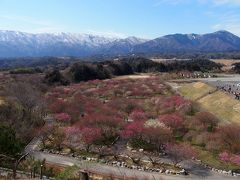 いなべ市農業公園梅林2017