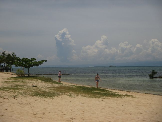 いつも行き先候補に入れて、やっと実現したセブ旅行。<br />息子の夏休みの最終週に行ってきました。<br /><br />2016年8月26日　セントレアからキャッセイパシフィックで<br />　　　　　　　　香港経由のセブへ<br />2016年8月27日　ホテルでプール<br />　　　　　　　ガイサノグランドモールでショッピング<br />　　　　　　　ホテルでプール<br />　　　　　　　　ショーを見ながら、食事<br />2016年8月28日　オスロブへジンベイザメ<br />2016年8月29日　アイランドホッピング<br />2016年8月30日　セブから香港経由でセントレアへ<br />　　　　　　　　帰国<br /><br /><br />（１）プランテーションベイホテルとガイサノグランドモール<br />http://4travel.jp/travelogue/11222676<br />（２）オスロブでジンベイザメ<br />http://4travel.jp/travelogue/11222688<br />（３）アイランドホッピングと帰国<br />http://4travel.jp/travelogue/11223028<br />（４）【番外編】オスロブジンベイザメ<br />http://4travel.jp/travelogue/11224964<br /><br /><br />もっと早く旅行記あげたかったけど、デジカメなくしたり、スマホ水没させたりで<br />できず、春休みにプーケットに行く予定なのでその前に。<br /><br />防水カメラの映像出てきました。やった。<br />（４）は防水カメラの写真です。