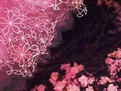 都会の秘密の花園で・・・日本一早いお花見を・・・FLOWERS by NAKED　ー立春ー