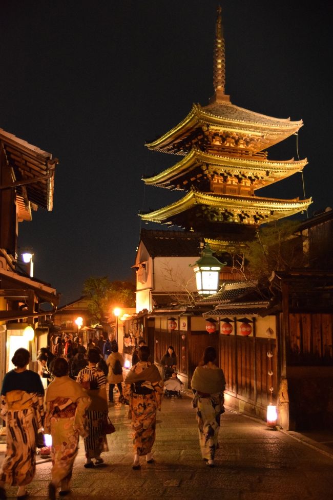 京都の旅二日目は今宮神社からスタート、<br />ほぼお隣の大徳寺で特別公開中の聚光院へ。<br />その後東山へ移動して、東山花灯路を楽しみました。<br /><br />花灯路は日没から20:02発の新幹線に乗るギリギリまでの<br />本当に短い時間でしたがとても良かった！<br />京都楽しかった！京都またよろしく！