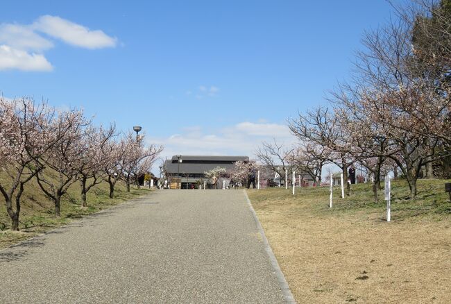 佐布里池の梅林の紹介です。品種の見本として植栽されていた梅の紹介の締め括りです。『実梅』と『花梅』、あわせて25種類の梅の見本樹でした。その後、温室を見学しました。