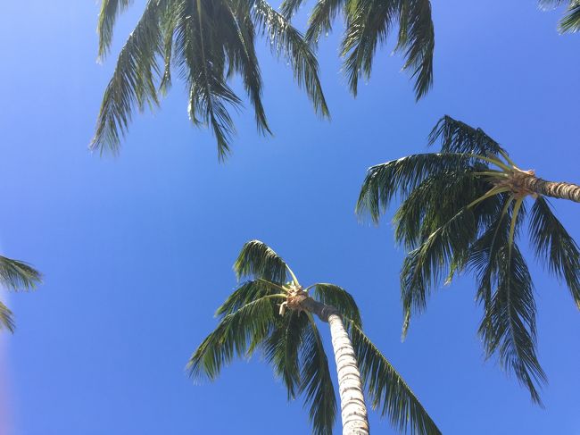 主人の会社のご褒美旅行で、一週間のハワイ旅行へ♪<br />現地でお小遣いも頂き、出費ゼロというステキな一週間でした(^-^<br /><br />真っ青な空と海、白い雲・・・<br />最高のリラックス旅行となりました。<br /><br />宿泊したフェアモント・オーキッドはビーチが美しく、夕日が最高の素晴らしいホテルでした。<br /><br />ご褒美をいただけるくらいがんばってくれた主人に感謝です!!<br />今考えると、この旅行を最後に夫婦二人きりの旅行は当分なさそうので、良い思い出となりました。<br /><br />■ハワイ島でのんびり①<br />http://4travel.jp/travelogue/11222913<br />Day 1:フェアモント・オーキッドでのんびり<br />Day 2:ホテルでシュノーケリング、ランチはザ ショップス アット マウナ ラニのトミーバハマのレストランへ。ディナーはマウナ ラニ ベイ ホテルのカヌーハウス。<br /><br />■ハワイ島でのんびり②<br />http://4travel.jp/travelogue/11223179<br />Day 3:ケアラケクア湾でシュノーケリング、ホテルで星空ピクニック<br />Day 4:強風でホエールウォッチングは中止、ホテルでまったり & ショッピングモールへ ディナーはルースズ クリス ステーキ ハウス<br /><br />■ハワイ島でのんびり③<br />http://4travel.jp/travelogue/11223389<br />Day 5:ホテルでシュノーケリング、午後はホエールウォッチングへ<br />Day 6:帰国