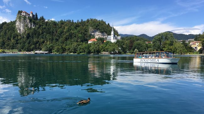 ご訪問ありがとうございます。<br /><br />スロベニアではまずリュブリャーナで2泊、そしてブレッド湖でもう1泊して、そのあと最終地点のクロアチア・ザグレブに移動することにしました。<br /><br />リュブリャーナのバスターミナルから満員のバスでブレッド湖へ到着。ホステルに荷物を置かせてもらって、ブレッド湖の湖畔をちょこっと散歩した後、路線バスに乗ってもっと奥にあるボーヒン湖へ行き、こちらでもまたお散歩。<br />日が沈む少し前にブレッド湖へ戻ってきて、夜は少し夜景なども見られました。そして翌日はホステルの人が「歩くのが好きだったら絶対オススメ」と教えてくれた、ヴィントガル峡谷へハイキングにお出かけ。（ヴィントガル峡谷の写真は次の旅行記に分けることにします）<br /><br />午後ザグレブへ向かうため、まずリュブリャーナに戻ろうとして路線バスで駅に行きましたが、時刻表に載っている電車がいつまで待っても来なくて、ようやくこの日（月曜日）が祝日だったことに気付きました…つまり土曜～月曜の三連休だったということ。ブレッド湖もボーヒン湖も人だらけで、スロベニアってそんなに人が多いんだっけ？　と思っていたのもこれで納得です(^ ^)<br /><br />リュブリャーナはすごくいいところだったけど、ブレッド湖の周辺にはハイキングコースがいっぱいあったので、どちらかと言うとブレッド湖を2泊にして、長めに時間を取っておいたほうが良かったかなと思います。<br /><br />ルートの詳細<br />伊丹→成田→（機中泊）→ドーハ→ベオグラード1泊→サラエヴォ2泊→モスタル2泊→ドブロヴニク2泊→フヴァル2泊→スプリット2泊→プリトヴィッツェ1泊→ザダール2泊→プーラ2泊→リュブリャーナ2泊→★いまココ★ブレッド湖1泊→ザグレブ2泊→ドーハ（空港泊）→羽田1泊→伊丹