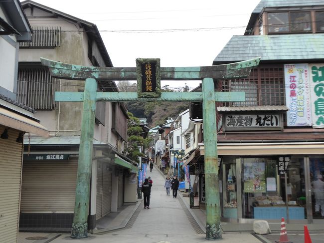 愛犬を連れて、江の島を散歩しました。<br />犬連れなので、江島神社、サムエルコッキング苑には入らずです。<br />知らなかったのですが、江の島の春祭り開催の日でした。