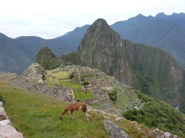 有休をくっつけて一足早めに年末休暇をもらい、初の南米旅行へ。目的地はマチュピチュとウユニ塩湖。高山病や飛行機の遅延・欠航、治安の悪さetc.、出発前に心配していたことはいっぱいありましたが、終わってみれば、とても順調な旅でした。旅の備忘録として＆今後旅する方のご参考までに、こまごましたことも含めてあれこれ綴ります。<br />＊ペルー：1ドル≒3.25ソル　→1ソル≒37円。ボリビア：1ドル≒6.9ボリ　→１ボリ≒17円。メキシコ：1ドル≒20ペソ　→1ペソ≒6円　（2016年12月末）<br />