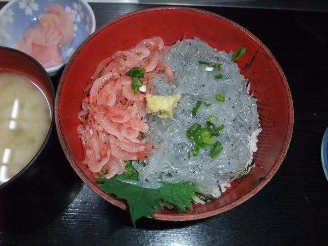 日帰りでおいしい魚介類を食べに行こうと思い今回は沼津をチョイス。昨年の「真田丸」で興味を惹かれた北条氏の小田原城に途中で立ち寄り熱海の温泉にも初入浴