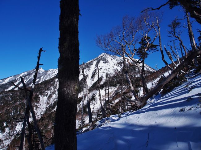 ずっと登りたかった積雪期の女峰山黒岩尾根。<br />本当は2月に歩きたかったけど諸般の事情で3月に。<br />やはり遥拝石から先はしんどかったです。<br /><br />本格的な雪山は甲斐駒と今回の女峰山だけしか経験がありませんが、黒戸の方が変化に富んでいて歩いていて楽しいです。<br />山頂直下のコース取り、テクニカル面ではこっちの方が難しいような気がしました。<br />黒戸は絶対ミスってならない斜度60度のルンゼがありますが、女峰は滑落しても木があるから止まります。<br /><br /><br />山行	11時間54分	<br />休憩	02時間00分	<br />合計	13時間54分<br />合計距離： 22.92km <br />累積標高（上り）： 1961m <br />累積標高（下り）： 1922m