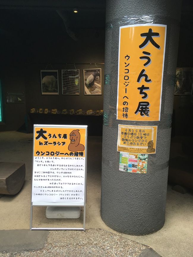 男一人で「よこはま動物園ズーラシア」に「けものフレンズ」を探しに行ってきました。<br /><br />http://blog.ariafloat.com/article/zoorasia/