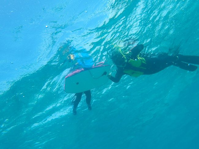 たまたまANAのHPを見ていたら、なんと新潟―沖縄の直行便が旅割でかなりお得に!<br /><br />え~~!どうしよう・・・・<br />沖縄行きたい・・・<br />マナティを美ら海水族館に連れて行ってあげたい・・・<br /><br /><br />でも・・・<br /><br />と悩んだ末、この価格で往復できるのはもうないかも!とポチッとしてしまいましたw<br /><br />なんと片道9,800円!<br /><br />残り3席だったのです。<br /><br />ラッキー!<br /><br />てことでマナティ初沖縄です!<br /><br /><br />2017年<br /> 3月11日 新潟―那覇 <br />★3月12日 那覇―恩納―本部<br /> 3月13日 本部<br /> 3月14日 本部―那覇―新潟<br /><br />宿泊ホテル 1日目 サンプラザホテル沖縄<br /> 2~3日目 マリンピアザオキナワ<br /><br />2日目は那覇からレンタカーで恩納へ!<br />今日はカヤックとシュノーケル!<br /><br />マナティ海大丈夫かなぁ・・・<br />
