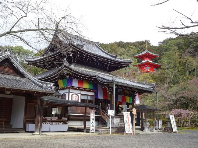 やっぱり雲龍院を含め泉涌寺はすばらしいなぁと思いながら、大門を出たころには雨がぱらぱらふりだしました。<br /><br />ここからは西国三十三所の草創１３００年による特別拝観めぐりとなります。<br /><br />まずは第十五番の今熊野観音寺ですが、大門からはすぐ近くなので、歩いていきます。<br /><br />第十八番の六角堂へは車で向かい、六角堂をお参りしてから第十九番革堂（こうどう）へは、歩こうと思いいます。<br /><br />この三ヶ寺、あまりご開帳をしないご本尊の特別公開ばかり、なんかワクワクしますね。<br /><br />【写真は、今熊野観音寺の本堂とうしろに医聖堂です。】