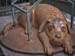 ゆったり　温泉　＆　倉吉　白壁土蔵の街なみを　歩いて～