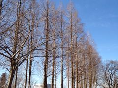 つくばの研究学園を散策