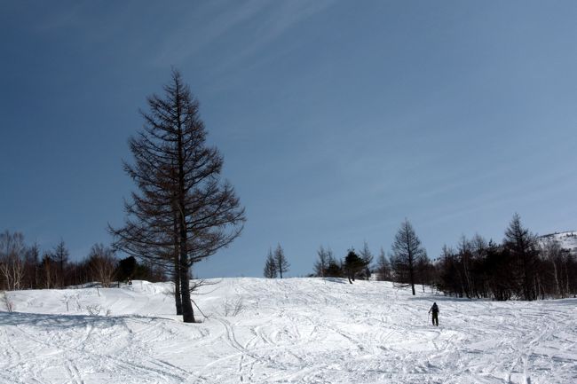 奥タボススノーパークゲレンデトップから山スキーで根子岳山頂往復。