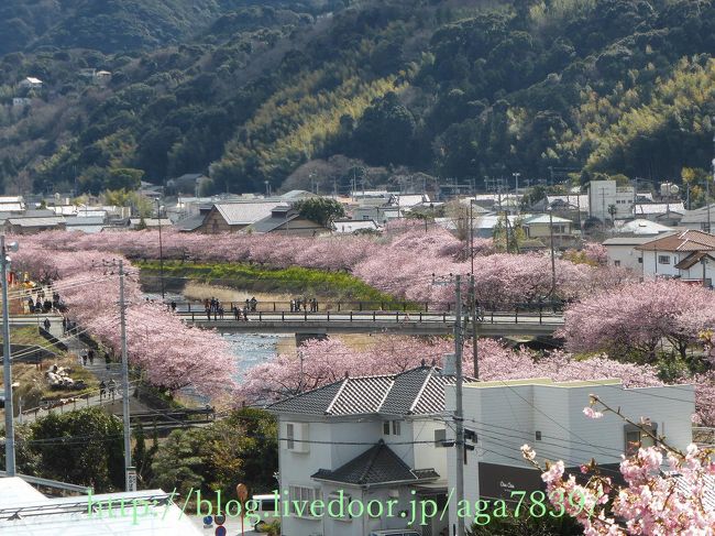 『くるまの桜』の続きです<br />『涅槃堂』の上にある『桜見晴らし台』ここからの眺めは<br />良いかも・・・・<br />『涅槃の桜』『峰小橋』ここら辺の桜は綺麗です<br />『峰小橋』からUターンで戻ります・・・