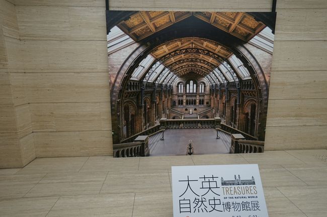 本日(3/18)から開催の国立科学博物館「大英自然史博物館展」へ行ってきました。<br /> 初来日の始祖鳥や「呪われたアメジスト」などが目玉でその他絶滅動物の標本など好きな人にはたまらないだろうなというラインナップ。<br />・・・・甘かった!10時前(開館は9時から)には到着したのだが既に1時間待ち。入った後も物凄い人だかりで目玉の展示物(始祖鳥など)は、ゆっくり鑑賞できる状態ではありませんでした。しかしながら、さすがの大英自然史博物館、絶滅動物の全身骨格や模型など見ごたえのあるコレクションの数々で楽しめました。なお、この展覧会、展示品すべて写真撮影OKでした。<br /><br />展覧会の構成は以下の通りです。<br /><br />序章:自然界の至宝~博物館への招待~<br />1章:大英自然史博物館の設立<br />2章:自然史博物館を貫く精神<br />3章:探検がもたらした至宝<br />4章:身の回りにも存在する至宝<br />5章:今日の社会のための博物館<br /><br />