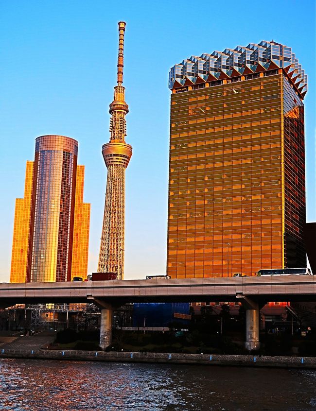 東京スカイツリー（TOKYO SKYTREE）は、東京都墨田区押上一丁目にある電波塔（送信所）である。観光・商業施設やオフィスビルが併設されており、ツリーを含め周辺施設は「東京スカイツリータウン」と呼ばれる。2012年（平成24年）5月に電波塔・観光施設として開業した。<br /><br /> 2006年（平成18年）11月24日にデザインが公表された。以下の3つのコンセプトに基づき、デザインされている。<br />1 時空を超えた都市景観の創造：日本の伝統美と近未来的デザインの融合<br />2 まちの活性化への起爆剤：賑わいと親しみを感じる3つのゲートと2つの展望台<br />3 都市防災「安全と安心」への貢献：日本古来の建築「五重塔」に通じる新たな構造システム<br /><br />塔内部は円筒（鉄筋コンクリート造のH375で直径約8メートル、筒内部は階段）になっており、外側のトラス部分と構造的に独立させ地震などによる揺れを抑える制震構造となっている。タワーを設計した日建設計はこの制振システムを五重塔になぞらえて、「心柱制振」と呼んだことなどから、マスコミから五重塔の技術が用いられたかのように報道された。しかし、五重塔の制震構造は解明されておらず、実際には現代の制振技術を応用したものである。また、アンテナが取り付けられる「ゲイン塔」の上には制振装置（総重量約100トンで、バネの上に乗った重りでアンテナの揺れを抑える）が設置され、心柱自体の重みと共に付加質量機構を形成する。ゲイン塔外周の直径約6メートル、アンテナ外周直径約8メートル。<br /><br />タワーの水平方向の断面は地面真上では正三角形であるが、高くなるほど丸みを帯びた三角形に変化し、H320で円となる。概観は「起り」（むくり）や日本刀の緩やかな「反り」（そり）の曲線を生かした日本の伝統建築の発想を駆使し、反りの美的要素も盛り込まれている。このため、タワーを見る方角によっては傾いているようにも裾が非対称になっているようにも見える。<br /><br />2009年（平成21年）2月26日にカラーデザインが公表され、「スカイツリーホワイト」と決定された。これは日本伝統の「藍白」（あいじろ）をベースにした独自の命名のオリジナルカラーで、青みがかった白である。なおエレベーターシャフトはグレー、展望台はメタリック色、頂部は鮮やかな白である。<br /><br />2009年（平成21年）10月16日にライティングデザインが公表された。江戸で育まれてきた心意気の「粋」と、美意識の「雅」という2つの異なるライティングを1日毎に交互に替えるライティングである。このライティング機材や調光コントロール全般はパナソニックが請負い、ライトアップの全てをLED照明とした]。1995台の照明器具が使用されている。<br /><br />「粋」は隅田川の水をモチーフとした淡いブルーの光でタワーを貫く心柱を照らし出したライティング。<br />「雅」は江戸紫をテーマカラーとし、金箔のようなきらめきのある光をバランスよく散りばめたライティング。<br />]（フリー百科事典『ウィキペディア（Wikipedia）』より引用）<br /><br />東京スカイツリー　については・・<br />http://www.tokyo-skytree.jp/<br />