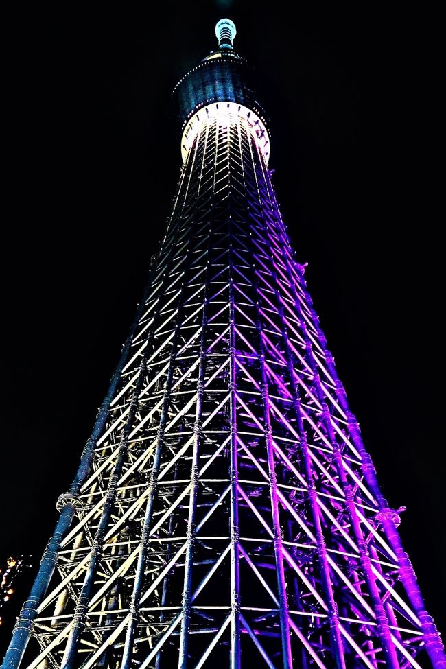 東京スカイツリー（TOKYO SKYTREE）は、東京都墨田区押上一丁目にある電波塔（送信所）である。観光・商業施設やオフィスビルが併設されており、ツリーを含め周辺施設は「東京スカイツリータウン」と呼ばれる。<br />2012年（平成24年）5月に電波塔・観光施設として開業した。<br /><br />2006年（平成18年）11月24日にデザインが公表された。以下の3つのコンセプトに基づき、デザインされている。<br />1 時空を超えた都市景観の創造：日本の伝統美と近未来的デザインの融合<br />2 まちの活性化への起爆剤：賑わいと親しみを感じる3つのゲートと2つの展望台<br />3 都市防災「安全と安心」への貢献：日本古来の建築「五重塔」に通じる新たな構造システム<br /><br />塔内部は円筒（鉄筋コンクリート造のH375で直径約8メートル、筒内部は階段）になっており、外側のトラス部分と構造的に独立させ地震などによる揺れを抑える制震構造となっている。タワーを設計した日建設計はこの制振システムを五重塔になぞらえて、「心柱制振」と呼んだことなどから、マスコミから五重塔の技術が用いられたかのように報道された。しかし、五重塔の制震構造は解明されておらず、実際には現代の制振技術を応用したものである。また、アンテナが取り付けられる「ゲイン塔」の上には制振装置（総重量約100トンで、バネの上に乗った重りでアンテナの揺れを抑える）が設置され、心柱自体の重みと共に付加質量機構を形成する。ゲイン塔外周の直径約6メートル、アンテナ外周直径約8メートル。<br /><br />タワーの水平方向の断面は地面真上では正三角形であるが、高くなるほど丸みを帯びた三角形に変化し、H320で円となる。概観は「起り」（むくり）や日本刀の緩やかな「反り」（そり）の曲線を生かした日本の伝統建築の発想を駆使し、反りの美的要素も盛り込まれている。このため、タワーを見る方角によっては傾いているようにも裾が非対称になっているようにも見える。<br /><br />2009年（平成21年）2月26日にカラーデザインが公表され、「スカイツリーホワイト」と決定された。<br />これは日本伝統の「藍白」（あいじろ）をベースにした独自の命名のオリジナルカラーで、青みがかった白である。なおエレベーターシャフトはグレー、展望台はメタリック色、頂部は鮮やかな白である。<br /><br />2009年（平成21年）10月16日にライティングデザインが公表された。江戸で育まれてきた心意気の「粋」と、美意識の「雅」という2つの異なるライティングを1日毎に交互に替えるライティングである。このライティング機材や調光コントロール全般はパナソニックが請負い、ライトアップの全てをLED照明とした]。1995台の照明器具が使用されている。<br /><br />「粋」は隅田川の水をモチーフとした淡いブルーの光でタワーを貫く心柱を照らし出したライティング。<br />「雅」は江戸紫をテーマカラーとし、金箔のようなきらめきのある光をバランスよく散りばめたライティング。<br />]（フリー百科事典『ウィキペディア（Wikipedia）』より引用）<br /><br />東京スカイツリー　については・・<br />http://www.tokyo-skytree.jp/