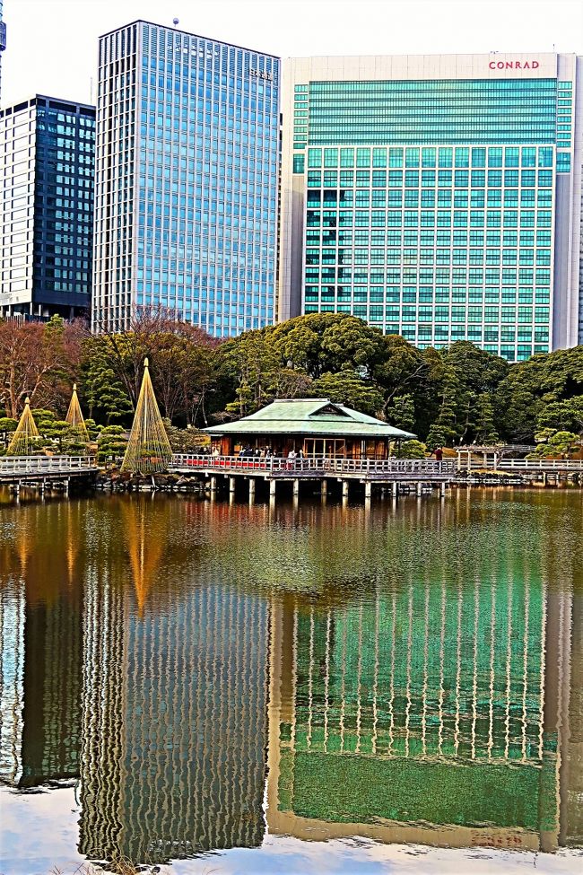 浜離宮恩賜庭園（はまりきゅうおんしていえん）は、東京都中央区浜離宮庭園にある都立庭園である。<br /><br />東京湾から海水を取り入れ潮の干満で景色の変化を楽しむ、潮入りの回遊式築山泉水庭。江戸時代に庭園として造成された。園内には鴨場、潮入の池、茶屋、お花畑、ボタン園などを有する。もとは甲府藩の下屋敷の庭園であったが、将軍家の別邸浜御殿や、宮内省管理の離宮を経て、東京都に下賜され都立公園として開園。<br /><br />近年、かつて園内にあった複数の建築物の復元計画が進められており、2010年に松の御茶屋、2015年に燕の御茶屋の復元が完了した。2016年12月から2018年まで鷹の御茶屋を復元工事中でいる。<br />（フリー百科事典『ウィキペディア（Wikipedia）』より引用）<br /><br />浜離宮恩賜庭園　については・・<br />https://www.tokyo-park.or.jp/park/format/index028.html<br />http://teien.tokyo-park.or.jp/contents/index028.html<br /><br />