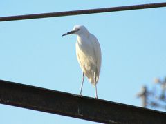 「この世界の片隅に」の面影を求めて　江波編