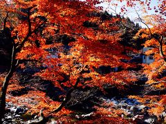 香嵐渓紅葉、寸又峡、大井川鉄道の旅