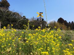 小湊・いすみ鉄道で房総横断、〆は千倉の寿司を堪能