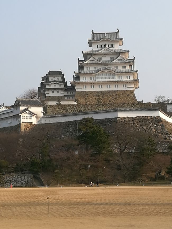 ２年ぶりに大学のクラブの同窓会に参加した。昨年は行けなかったので今年は早々と予定を組んで万全の態勢で参加しました。お天気は上々ですが、何せ３連休とあってどこも人・人・人であふれていました。２年前にはまだ工事中だった姫路城や赤穂城跡も見学して楽しいお酒と食事と昔話で学生時代にタイムスリップです。