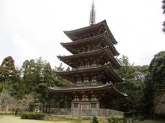 2017年3月　関西の旅　第１日　京都（醍醐、山科）