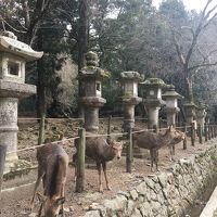 奈良 世界遺産歩き♪ ちょこっと大阪