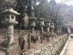 奈良 世界遺産歩き♪ ちょこっと大阪