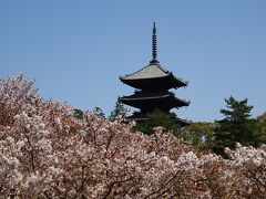 京都の世界遺産巡り　仁和寺・龍安寺・金閣寺・西本願寺