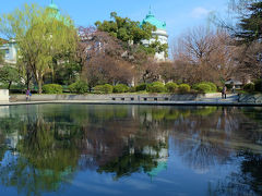 　上野の杜散歩　櫻も咲きはじめる　３０００冊記念