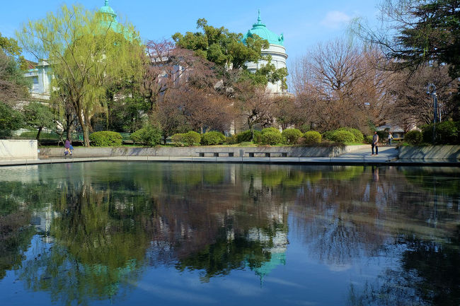 上野の杜も桜が咲き　満開　だと　大変な混雑<br /><br />その前に　少しの時間ですが公園内を散歩してきました<br /><br />桜の花も咲き始めて、、春です。<br /><br /><br />※　旅記を此方で作成初めて１０年余<br /><br />昨年は体調も良くなく　あまりできませんでしたが<br /><br />見て下さる皆さんのお蔭で　此処まで来る事が出来ました<br /><br />　深く　深く　感謝申し上げます。<br /><br />これからも体の許す限り続けて行きたいと思っています。