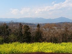 　春を探しに行きました