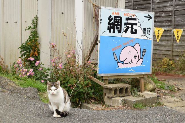 元祖猫島こと宮城県の田代島にやっと行って来ました。<br />そして約４ヶ月後、やっと旅行記を書けました。<br /><br />もしも田代島への船の乗り方等、<br />ご覧になりたい方がいらっしゃったら↓↓こちらへ。<br />http://4travel.jp/travelogue/11225247<br /><br />この旅行記は島で会った猫の写真がひたすら続きます。<br />猫ばっかりかなり多いです。ご容赦を！