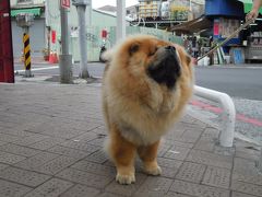 又旅台湾 : 街歩き番外編   「不好意思・・・」 「好了、謝謝」と言ってます。