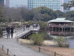 浜離宮恩賜庭園： 広々した庭園を一巡し，最後に3月で満開の菜の花畑