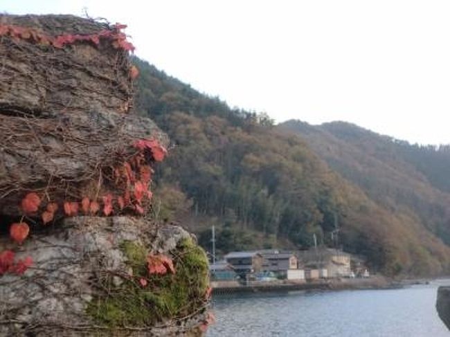 新聞で紹介されていた琵琶湖の北端にある岬の村菅浦へドライブしました。<br />記事によると:-<br />奥琵琶湖の隠れ里、菅浦（すがうら）集落（滋賀県長浜市）は山裾と湖水にはさまれた狭い平地にある。中世の惣村（そうそん）の特徴を今も残す貴重な風景が昨年、国の重要文化的景観に選ばれた。村掟（おきて）や年貢の催促状など「菅浦文書（もんじょ）」と呼ばれる豊富な史料も現存。自治を守る知恵と教訓を子孫に残した。と記されています。